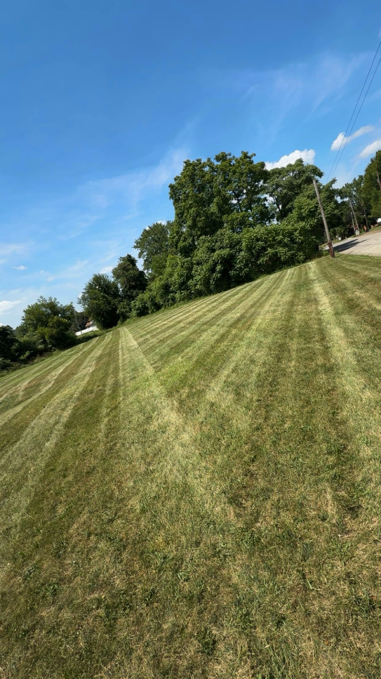Clean, well-maintained residential lawn
