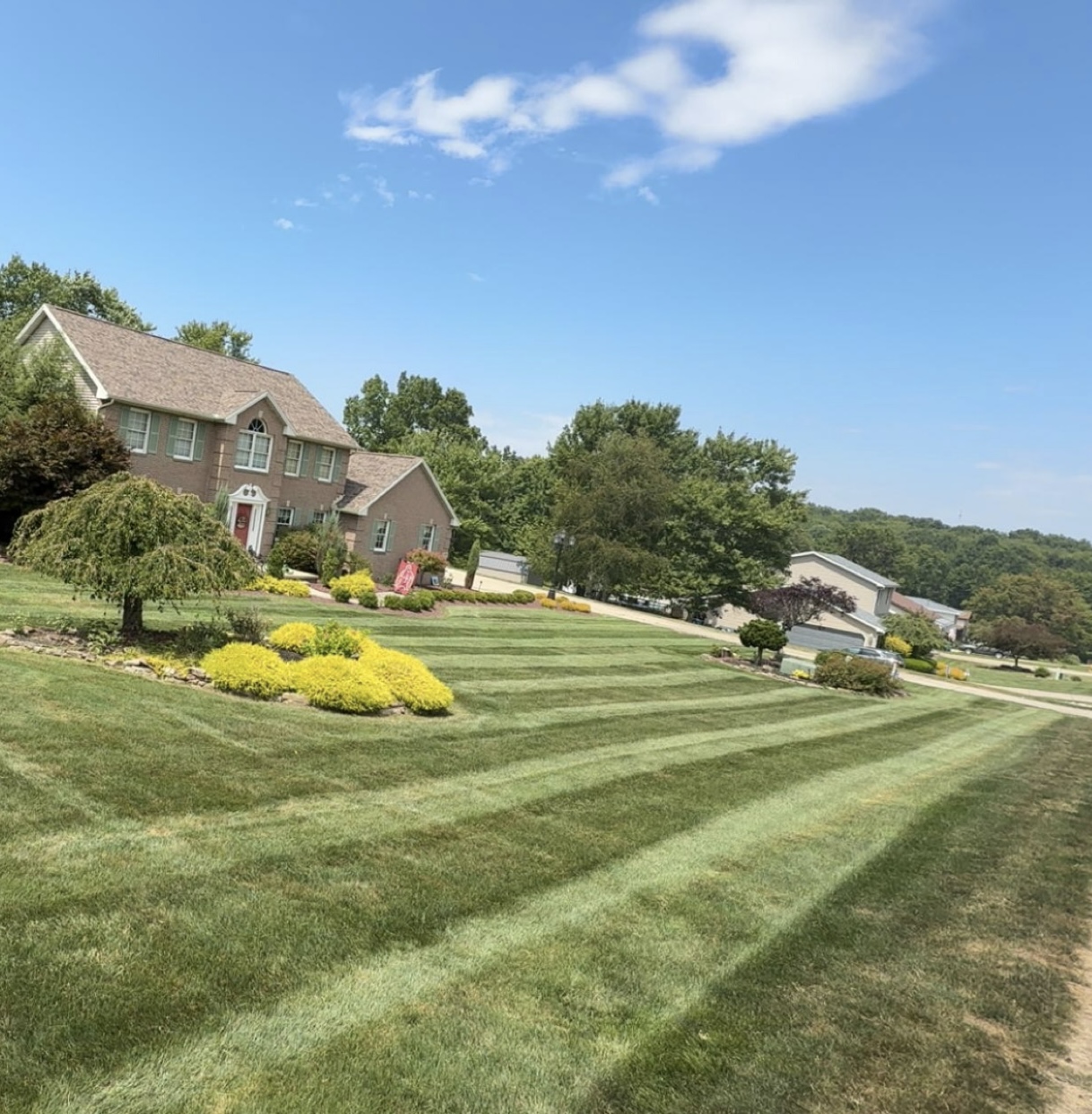 Lawn care stripe work 2
